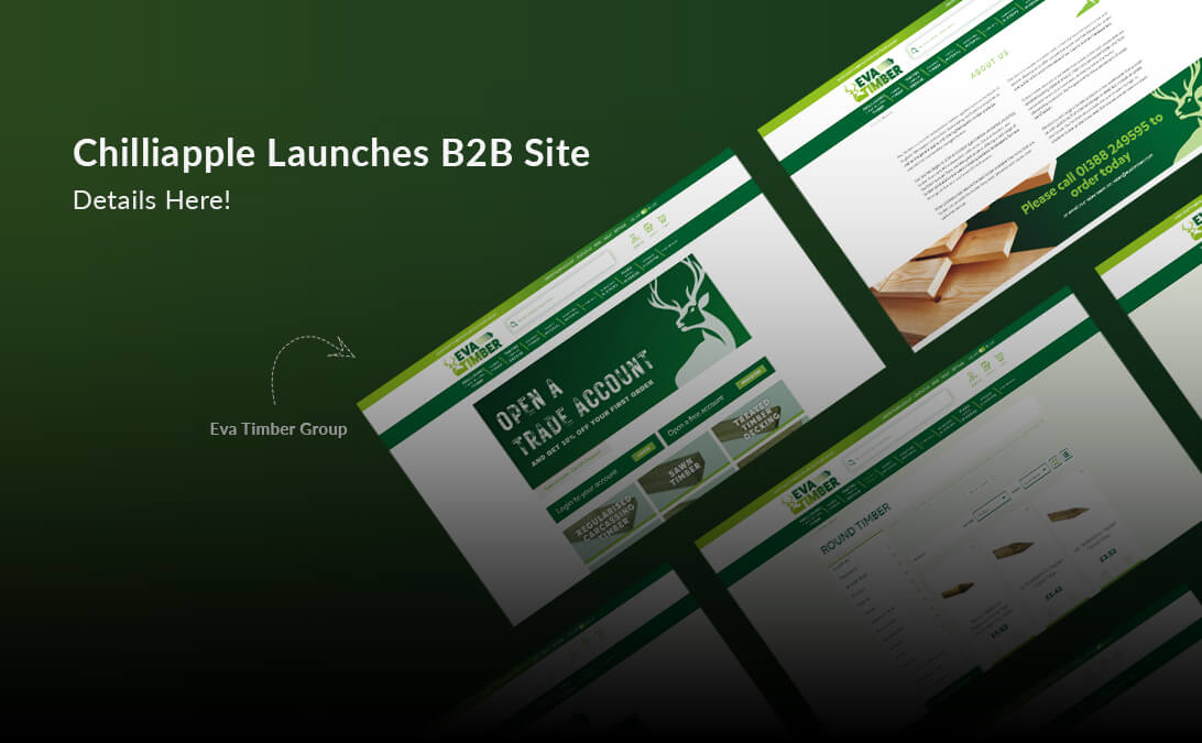 Koding Web Helped B2B Company Launch a Successful eCommerce Site