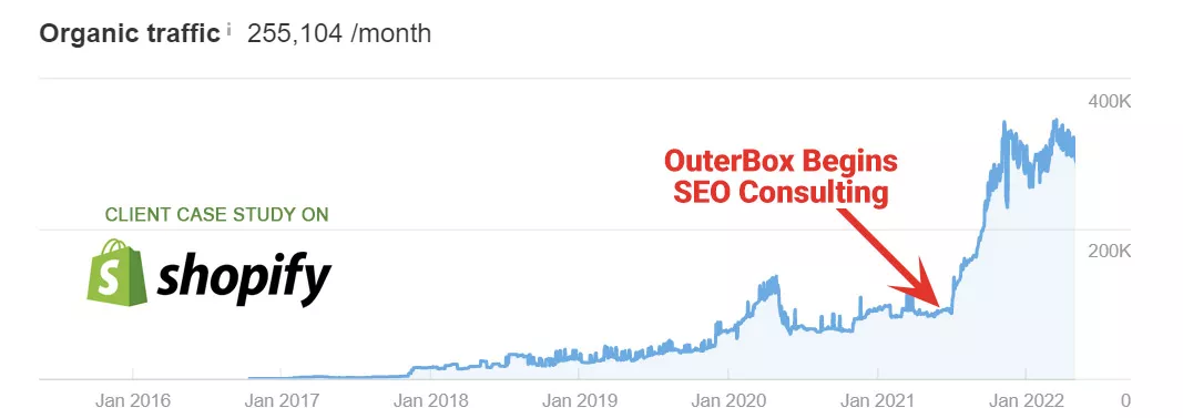 SEO consulting services case study