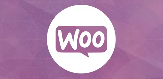 WooCommerce SEO